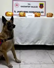 Nurdağı'nda Otobüste 3 Kilo Esrar!