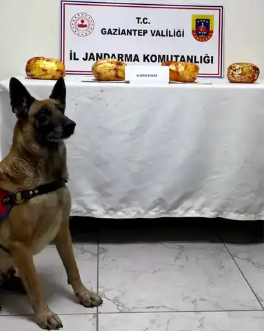 Nurdağı'nda Otobüste 3 Kilo Esrar!